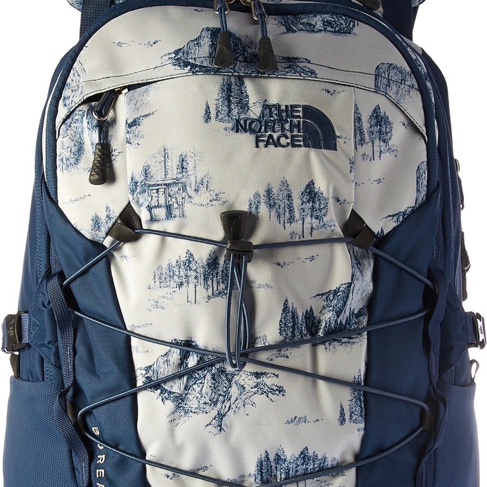 ISO/DISO Northface Backpack